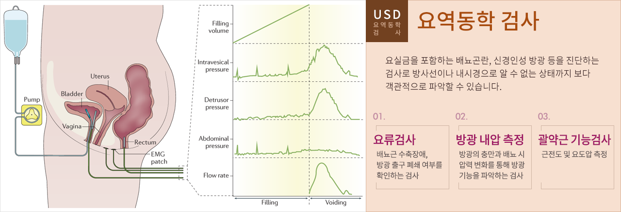 요역동학 검사