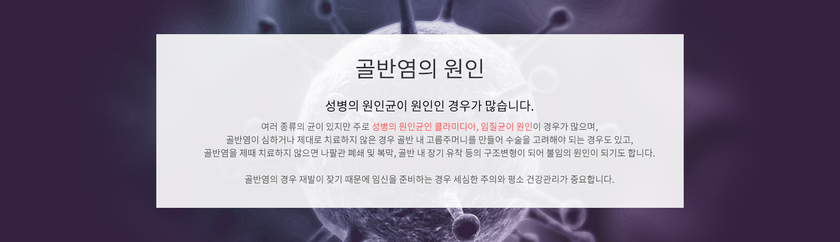 골반염의 원인