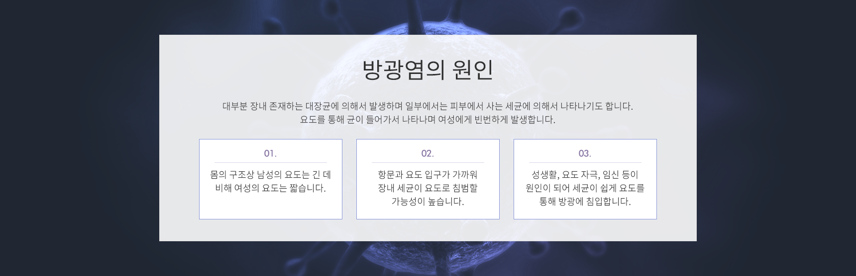 방광염의 원인