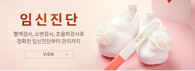임신진단